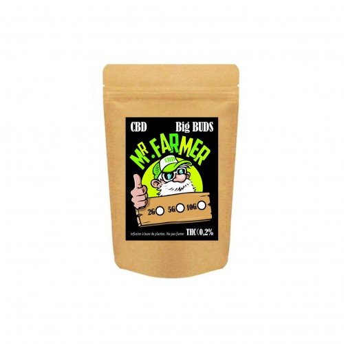 BIG BUDS 2g