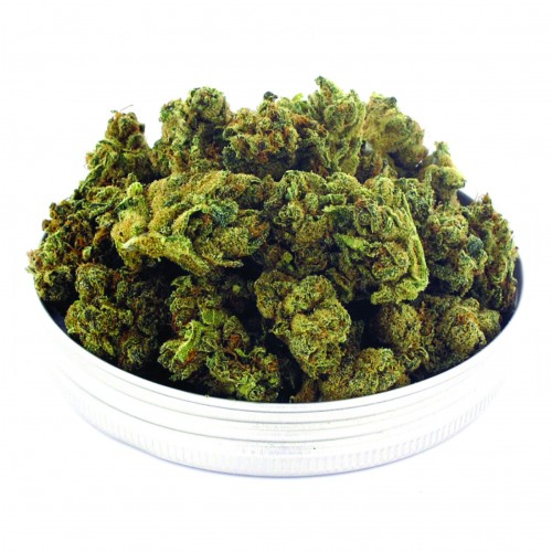 VRAC MINI Buds 5 KG