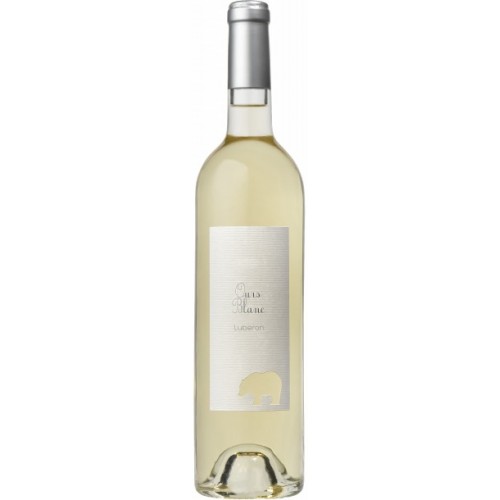 Ours Blanc Lubéron blanc